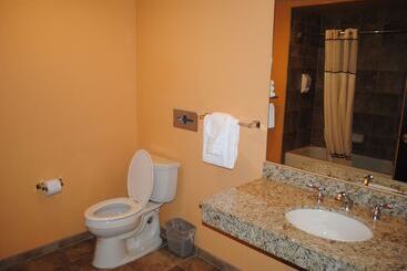 استراحتگاه Wisconsin Dells Area Condominiums