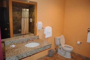 استراحتگاه Wisconsin Dells Area Condominiums