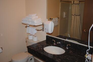 استراحتگاه Wisconsin Dells Area Condominiums