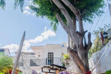 هاستل Zoola Resort San Pedro La Laguna