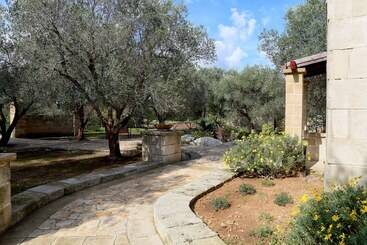 هتل Masseria L Uliveto Agri Resort