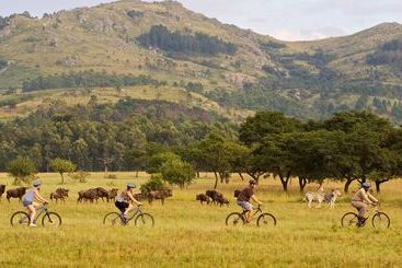 هتل Hilton Garden Inn Mbabane
