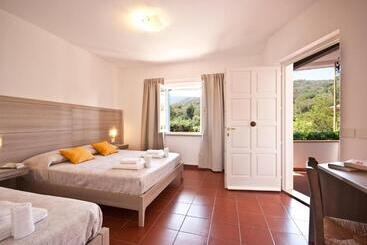 B&b La Casa Degli Ulivi