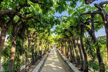 Ultimate Provence Hotel & Spa