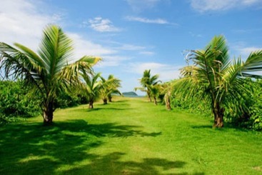 پانسیون Pousada Recanto Da Ilha