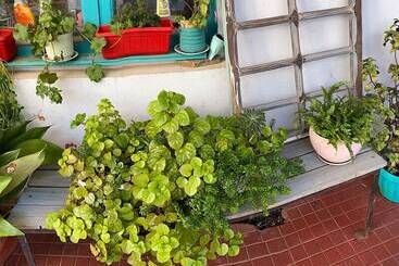 هاستل Hostal Dolegant Pichilemu