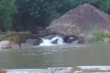 تختخواب و صبحانه Jungle Face Inn