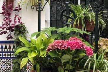 پانسیون Hostal Mellizo