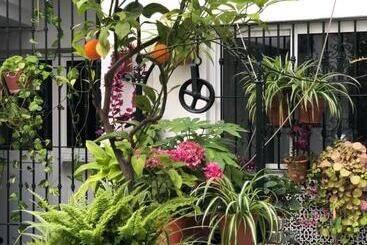 پانسیون Hostal Mellizo
