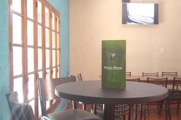 Black Sheep International Hostel