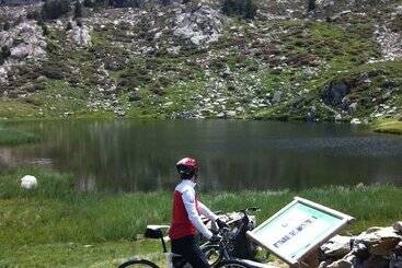 Mountain Hostel Tarter
