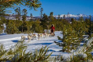هتل Ymca Of The Rockies   Snow Mountain Ranch