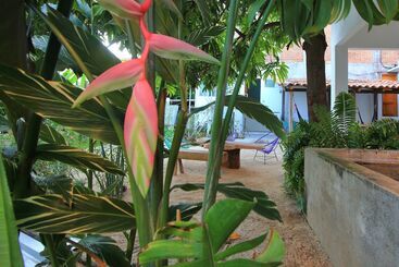 پانسیون Paziflora Hostel