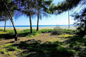 Dream Beach B&b