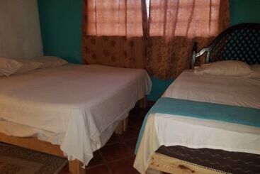 Hostel Enjoy Vallarta 19