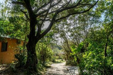 پانسیون Coração Da Terra Praia Do Rosa