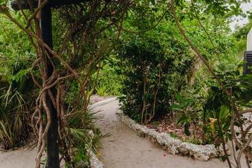 هاستل The Slow Leopard Kilwa
