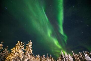 استراحتگاه Northern Lights Village Levi