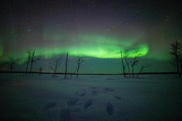 استراحتگاه Northern Lights Village Levi