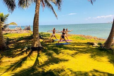 Baoba Breeze Bed & Breakfast  Beachfront Paradise
