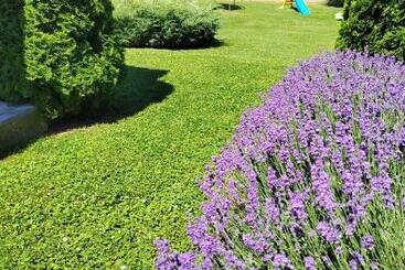 پانسیون Garden 022