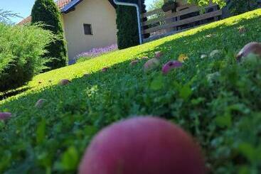 پانسیون Garden 022