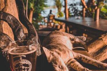 هاستل Happy Lemon Tree Lodge