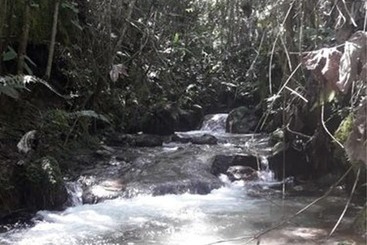 هتل Eco Hacienda Roman