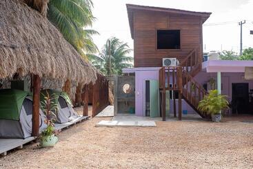 پانسیون Mapache Hostel & Camping