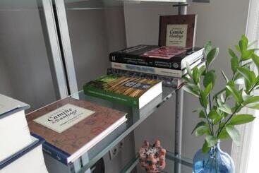 Pension Suite Camino Norte