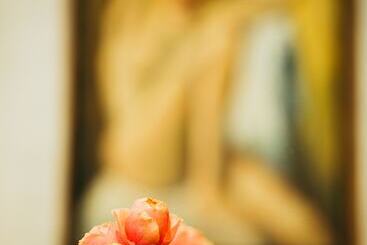 هتل Divna Pani Luxury Gallery Rooms