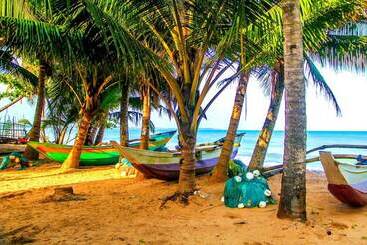 White Ro Resort
