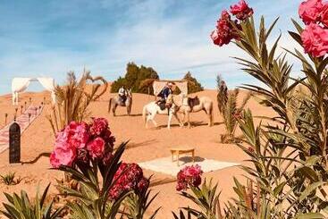 تختخواب و صبحانه Sahara Wellness Camp