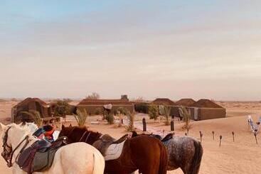 تختخواب و صبحانه Sahara Wellness Camp