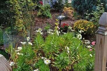تختخواب و صبحانه Davis Square Inn