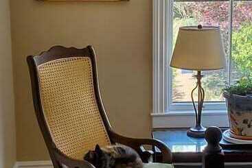تختخواب و صبحانه Davis Square Inn