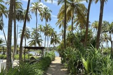 هتل Coucoue Lodge