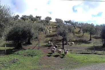 پانسیون Finca La Carnicera