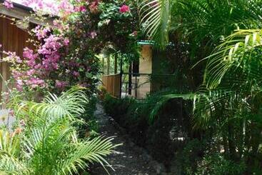 هاستل Chill Inn Nosara
