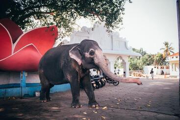 هتل Amber House Lanka