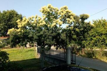 هتل Airport Home Radinovic