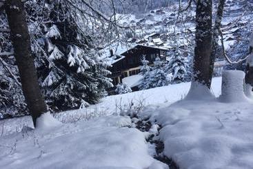 هتل Chalet Starlight
