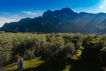 هتل O_live Agriresort