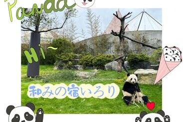 پانسیون 和みの宿いろり