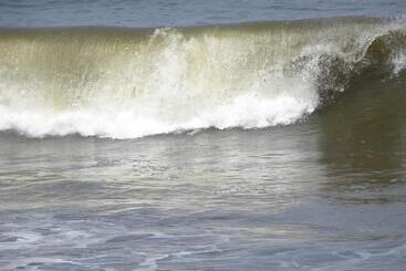 تختخواب و صبحانه Amssler Beach Stay