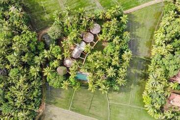 هتل Rice Rice Villas
