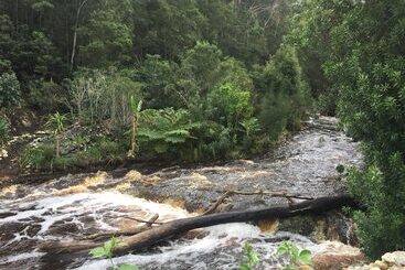 پانسیون A Riverbed Guesthouse