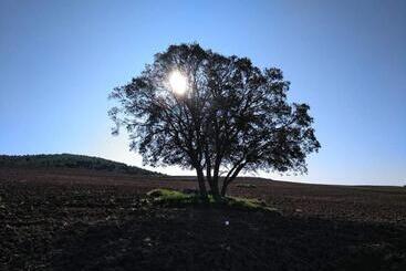 پانسیون Sleeping Sarria