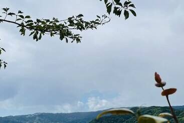 پانسیون Hostel And Cafe Izu No Umi