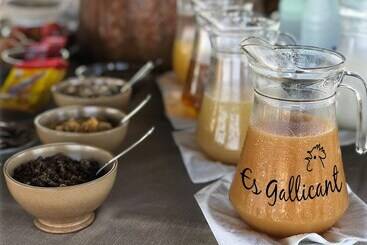 هتل Agroturismo Es Gallicant